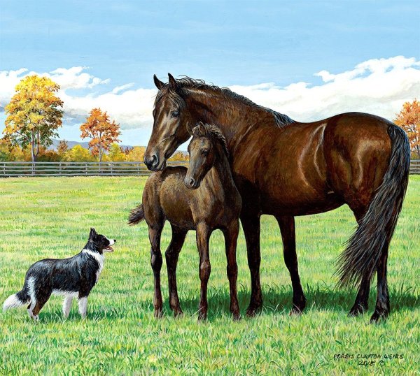 Persis Clayton Weirs художник лошадь