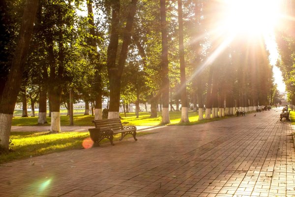 Парк в городе