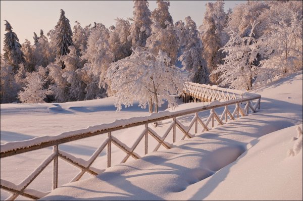 Зимний пейзаж в парке