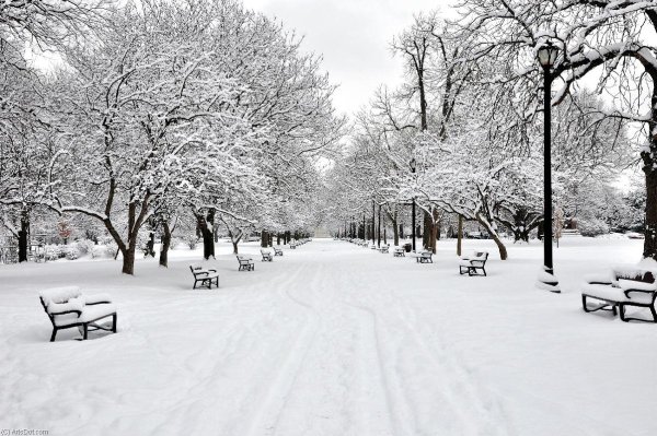 Снег в парке