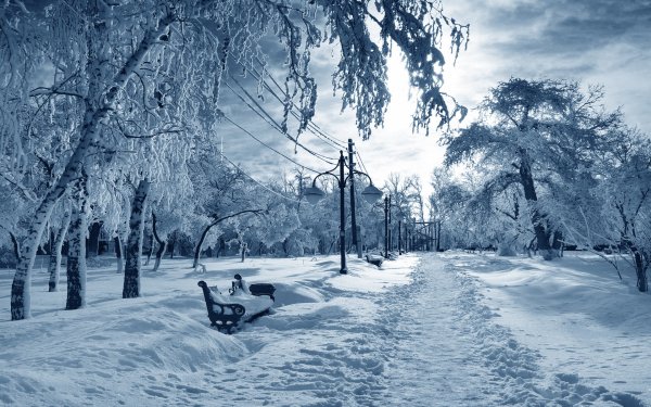Зима в городе