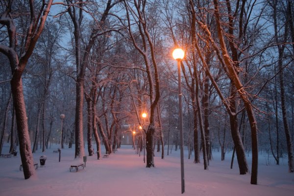 Парк Орленок зима