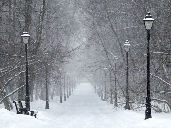 Аллея зимой