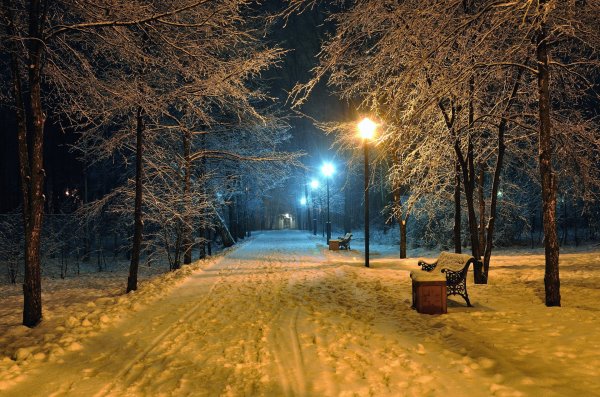 Зимний парк