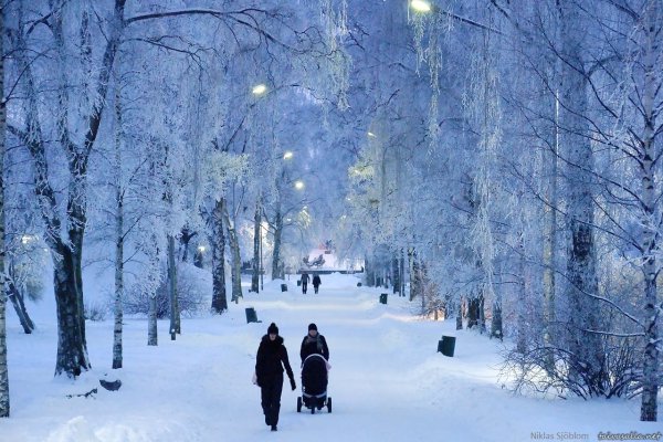 Прогулка в зимнем парке