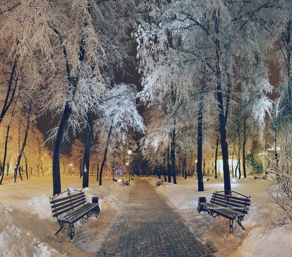 Шаховская парк зима