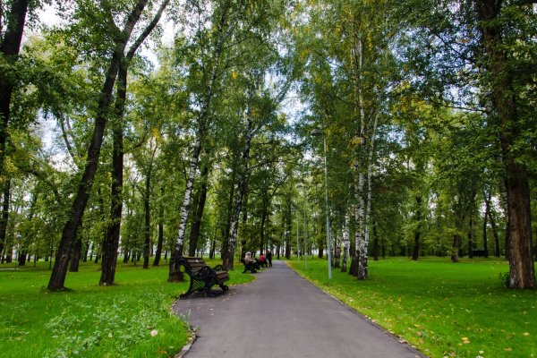 Парк Крылья советов Казань