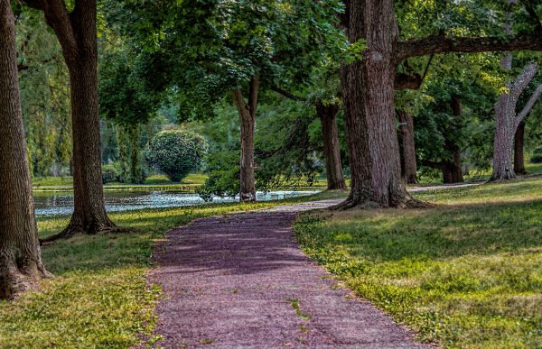 Весенний парк тропа