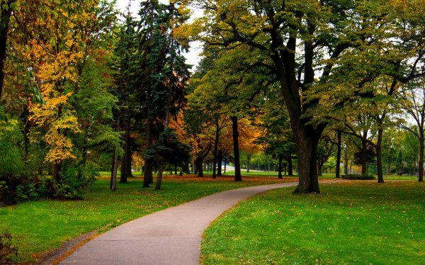 Ранняя осень