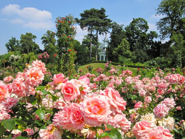 Парк Багатель розарий