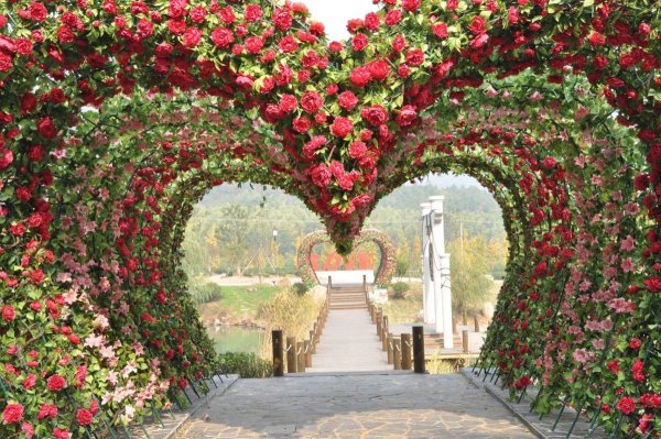 Арка из цветов