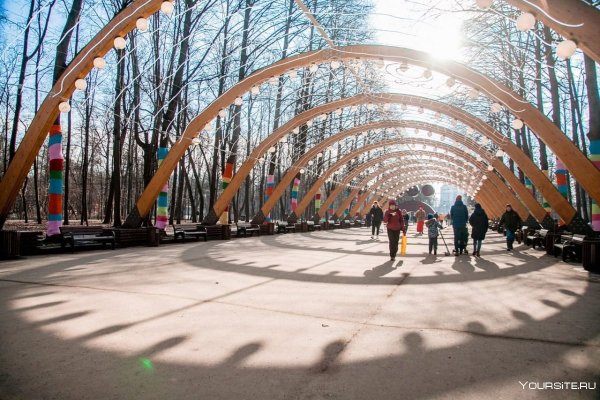 Cokkoльники в парке Сокольники