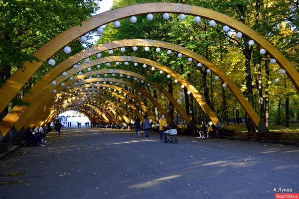 Парк Горького Сокольники