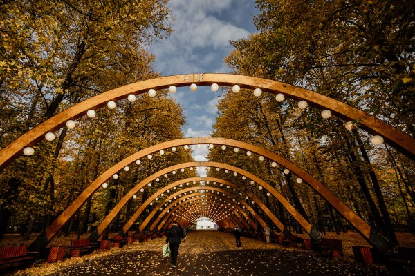 Парк Сокольники осенью