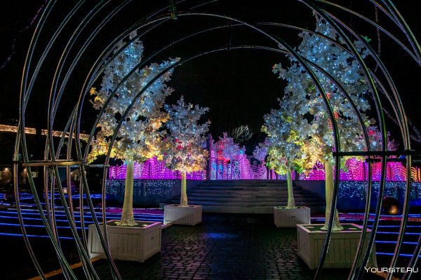 Парк Сокольники вечером