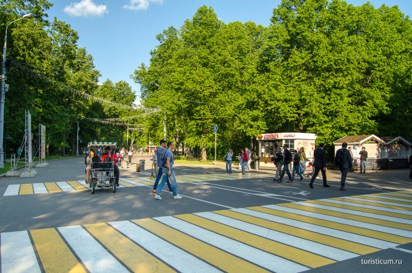 Район Сокольники парк
