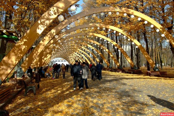 Парк Сокольники осень