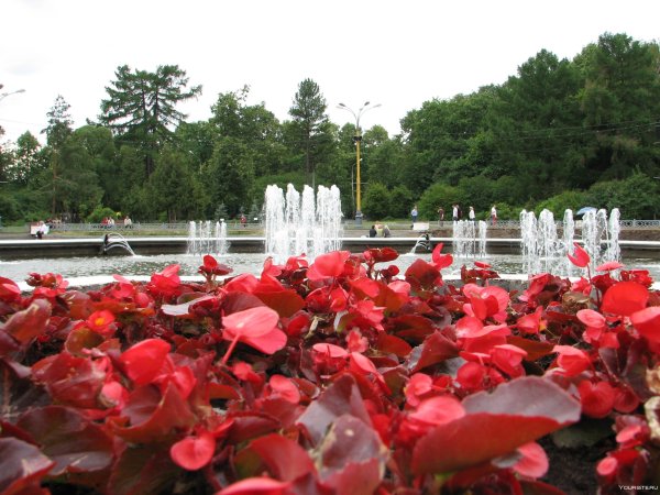 Московский парк Сокольники