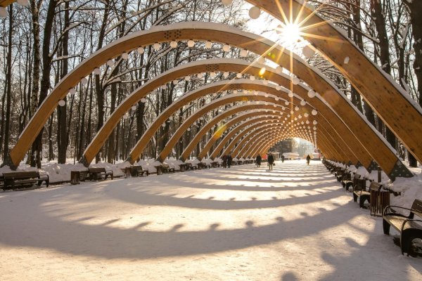 Парк Сокольники Центральная аллея