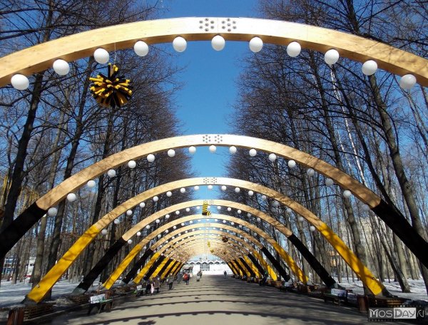 Парк Сокольники 4 лучевой просек 4