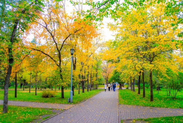 Горсад Новосибирск