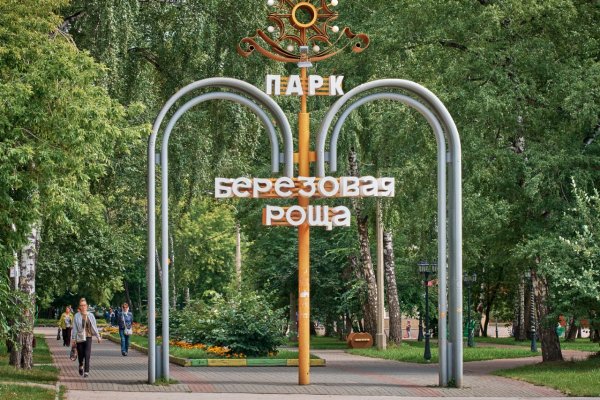 Березовая роща Новосибирск