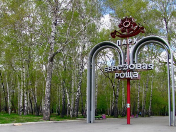 Березовая роща Новосибирск