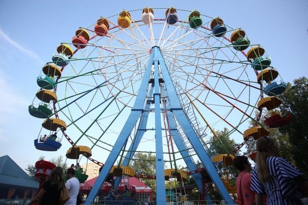 Парк Березовая роща Новосибирск колесо обозрения