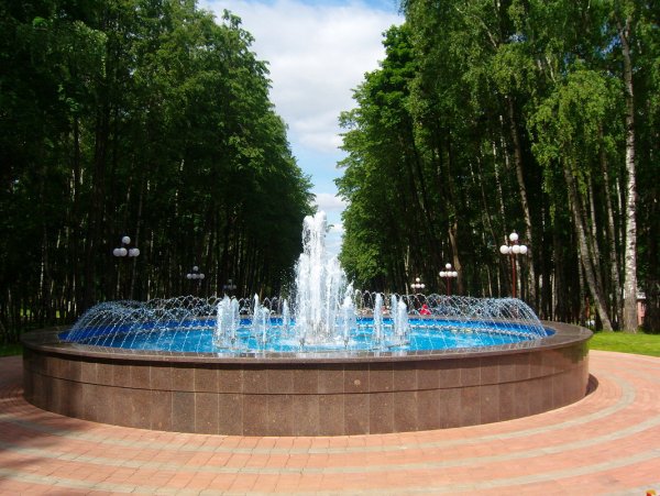 Парк Березовая роща Дмитров