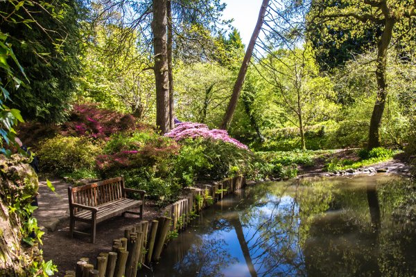 Англия парк сад мостик