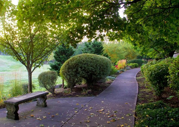 Красивый парк