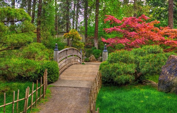 Японский сад дощатая дорожка