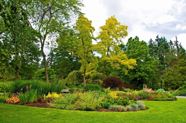 Гарденс Грин зеленый сад