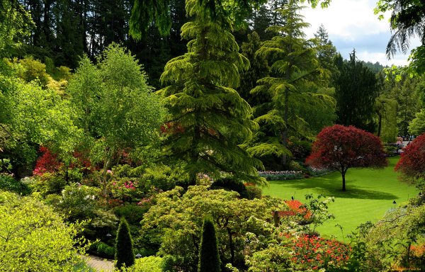 Сады с хвойниками Германия