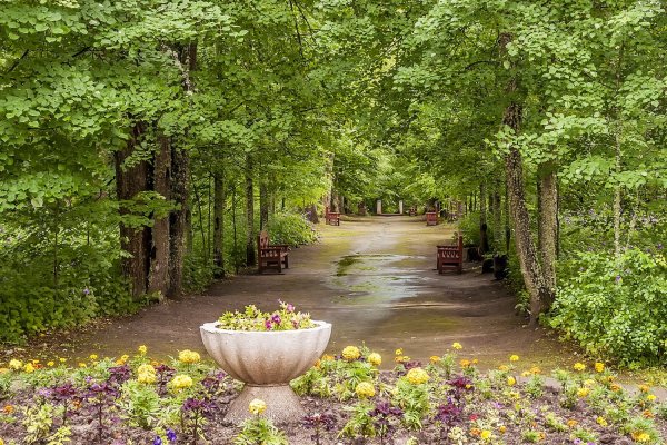 Усадьба Брянчаниновых парк