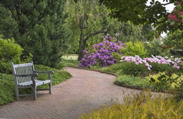 Парк США лавочки