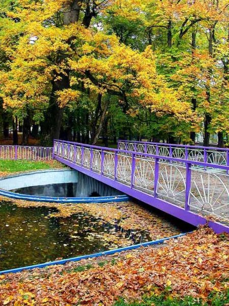 Ставропольский Центральный парк