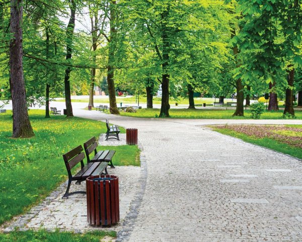 Сад Томсона в Иркутске