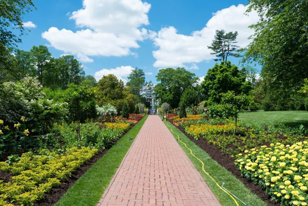 Парк цветник аллеи