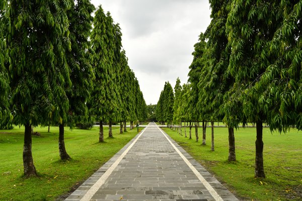 Ясная Поляна аллея