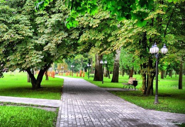 Город Клин парк аллея