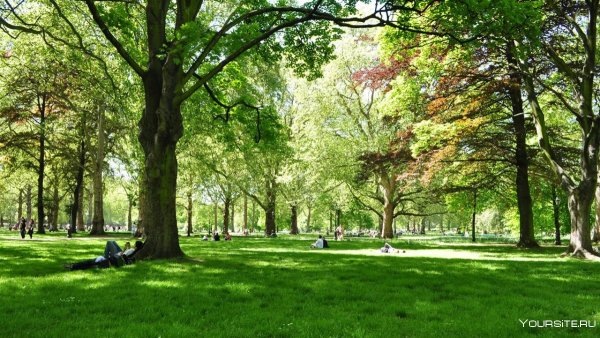 Зеленая зона