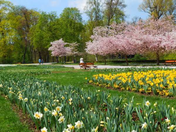 Парки весной