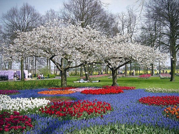 Нидерланды весенний парк Keukenhof