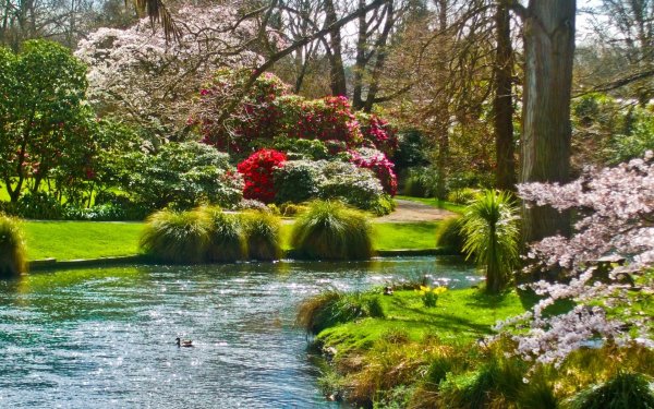 Красивый сад