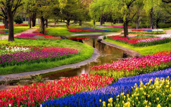 Keukenhof Gardens Нидерланды