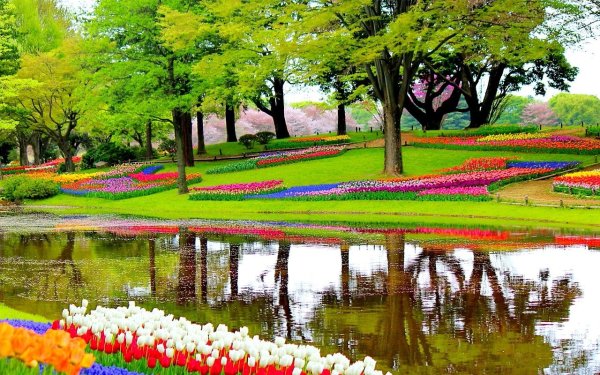 Keukenhof Gardens Нидерланды