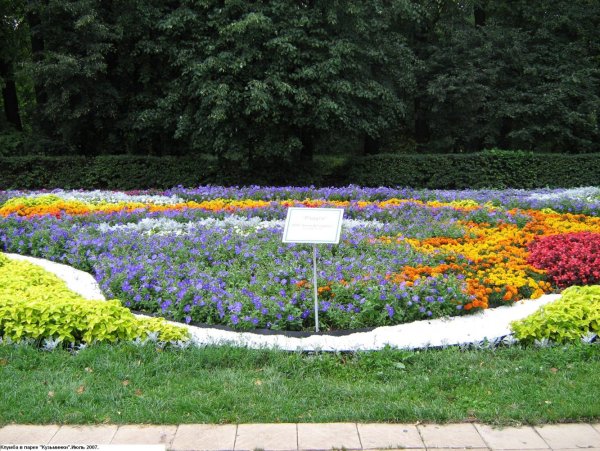 Кузьминки парк клумбы