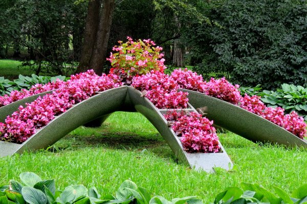 Цветочные клумбы в парках