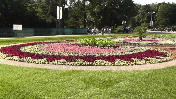 Сокольники парк Центральная клумба